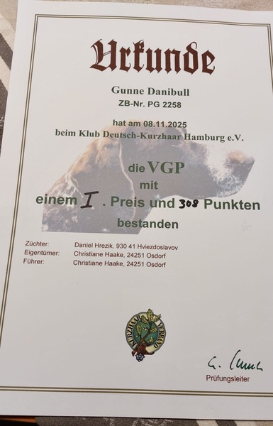 gunne-danibull-vgp2
